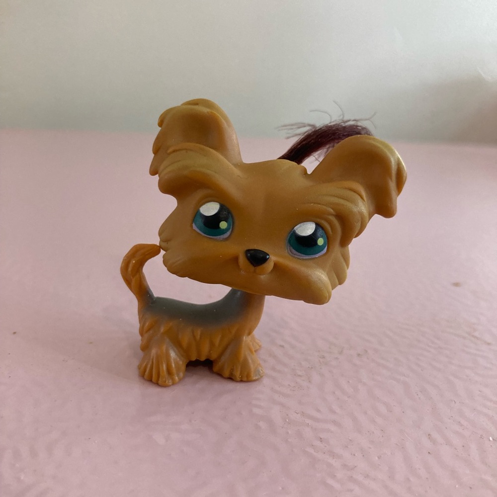 Yorkie little pet shop with hair